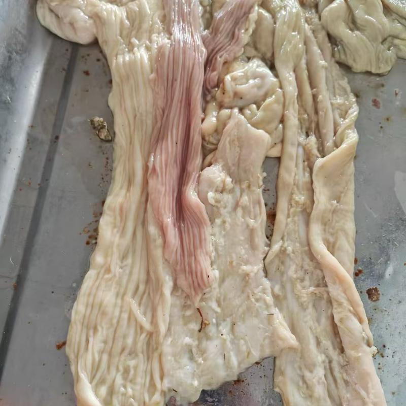生牛肠片