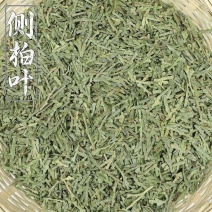 侧柏叶新货侧柏叶批发零售量大优惠