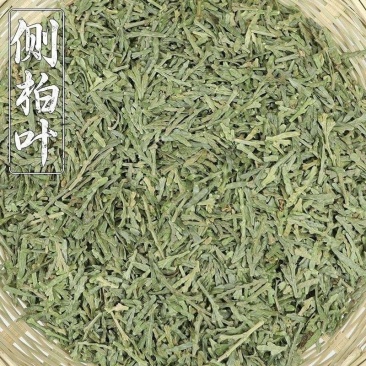 侧柏叶新货侧柏叶批发零售量大优惠