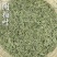 侧柏叶新货侧柏叶批发零售量大优惠