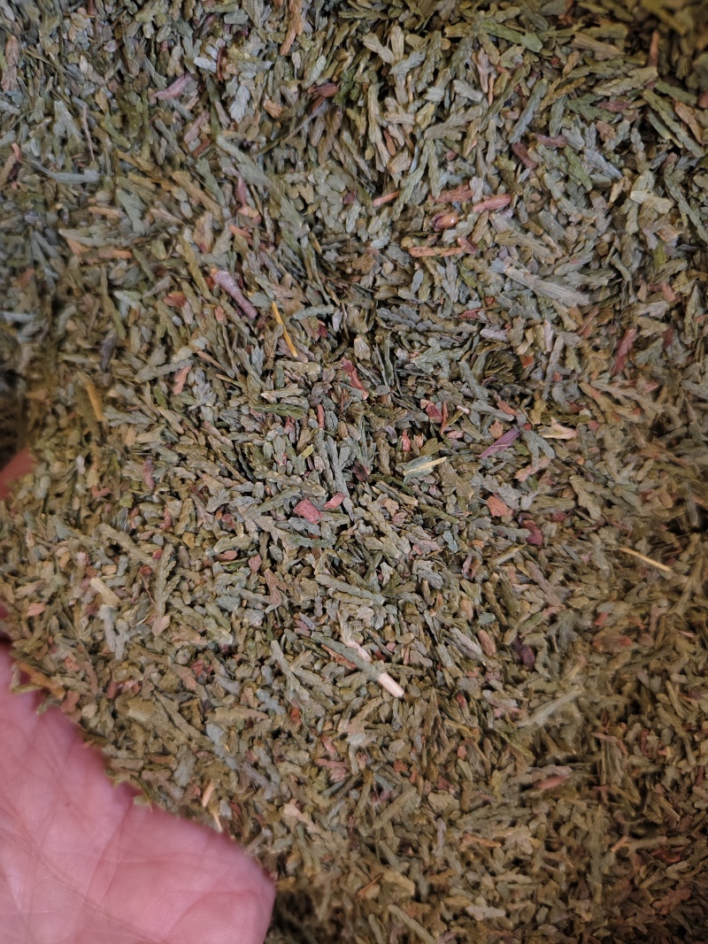 侧柏叶新货侧柏叶批发零售量大优惠