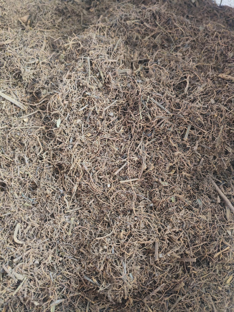 鸡爪连黄连味连须根干货