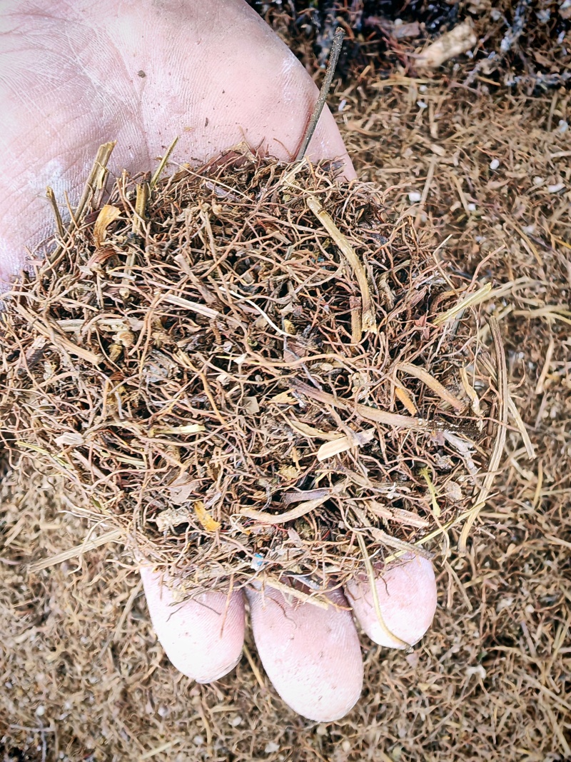 鸡爪连黄连味连须根干货