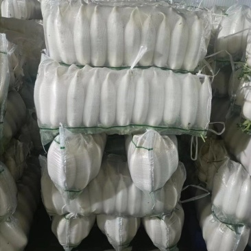湖北精品萝卜水洗萝卜白萝卜产地直供货源充足