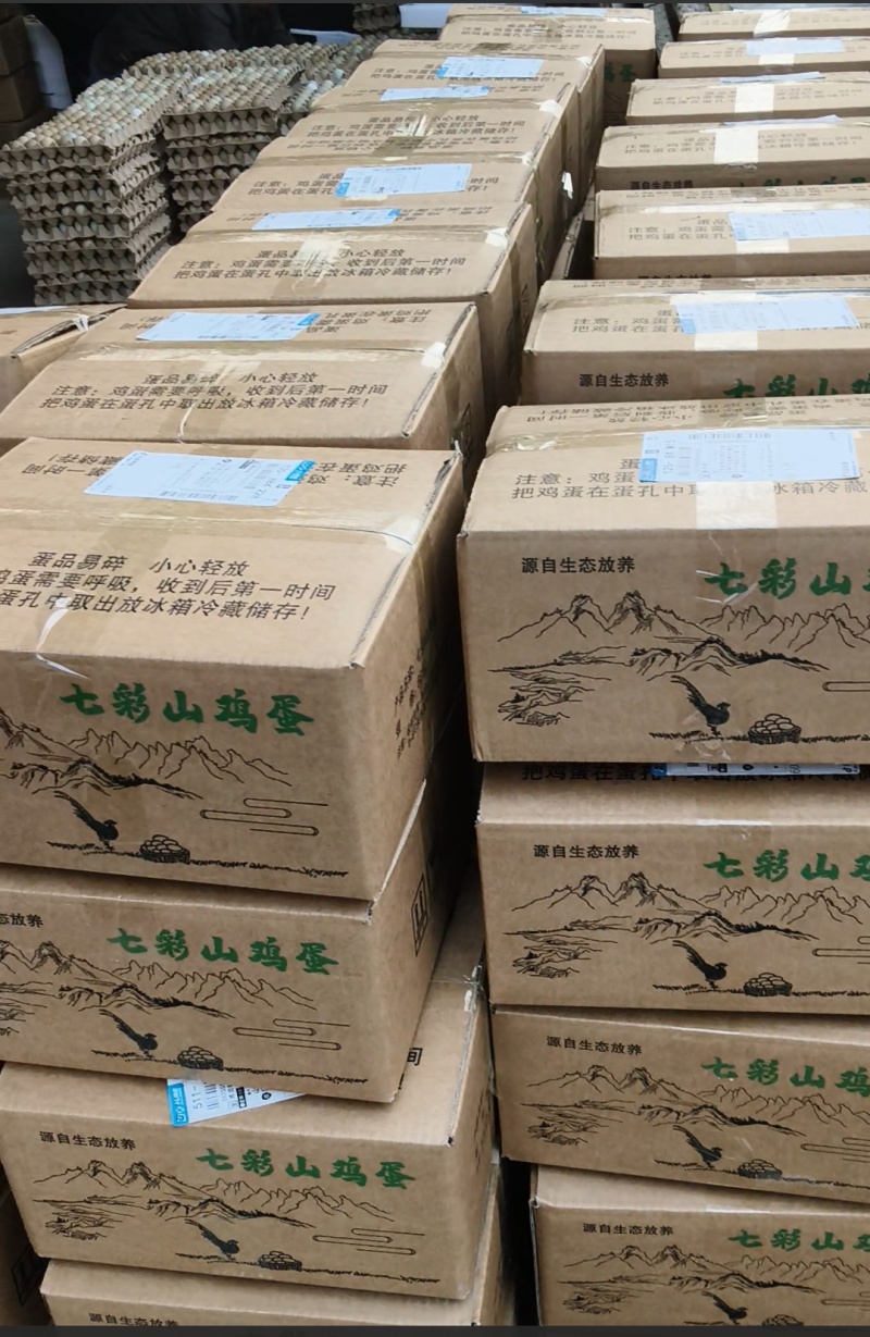 七彩山野鸡蛋农户自家养殖#价格实惠新鲜保证欢迎致电咨询