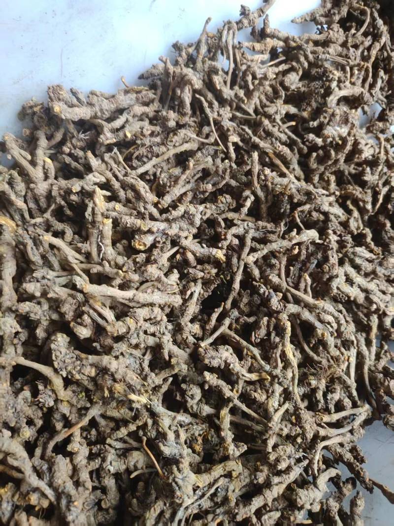 川黄连味连鸡爪连干货