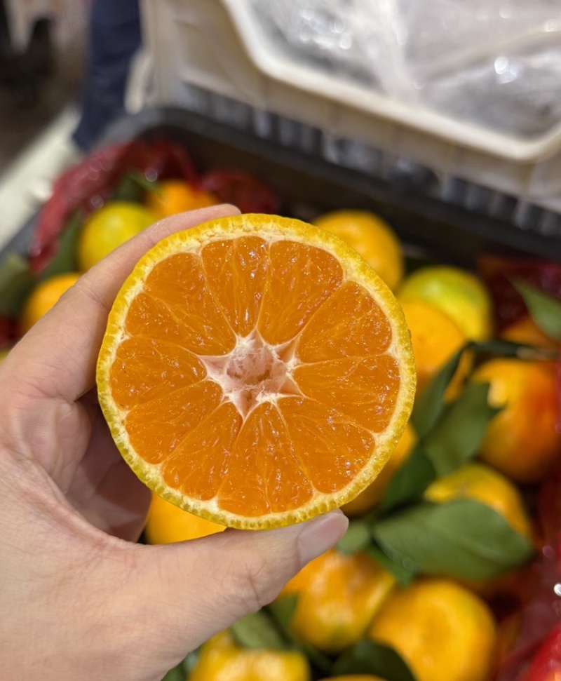【湖北蜜橘】宜昌蜜橘基地直发量大从优欢迎来电咨询