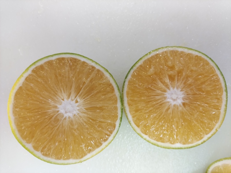 新鲜冰糖橙上市