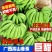 广西高山威廉斯香蕉提供电商一件代发，整车发货