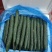 广东密刺黄瓜大量供应市场，电商，工厂，一手货源