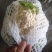 河南安阳内黄实心花菜大量有货