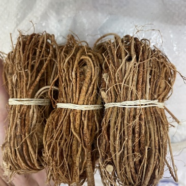 工厂直发正宗五指毛桃小包芯捆扎自产自销长期稳定供货