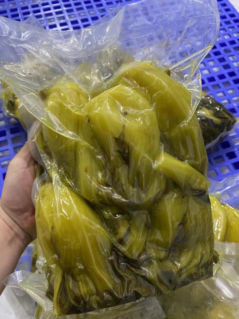 【腌芥菜】箱装酸菜