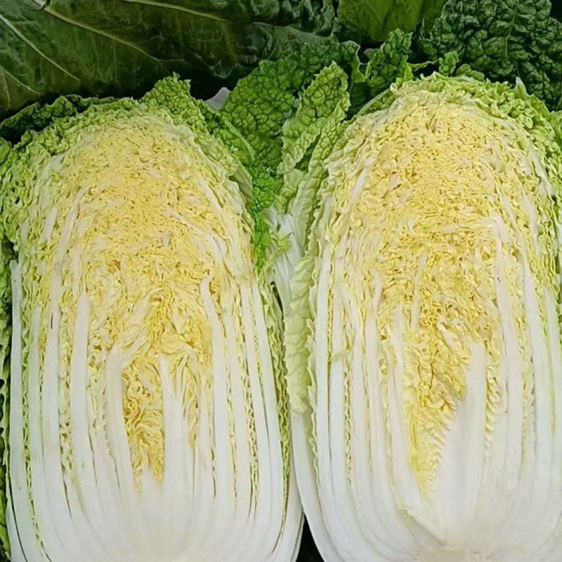 云南高山娃娃菜