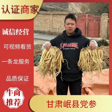甘肃党参，规格齐全，货源充足，当年鲜货可视频看货。