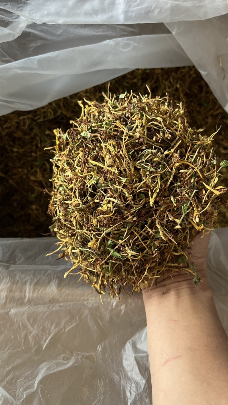 野生金银花，无琉金银花新鲜干货，5斤起批包邮