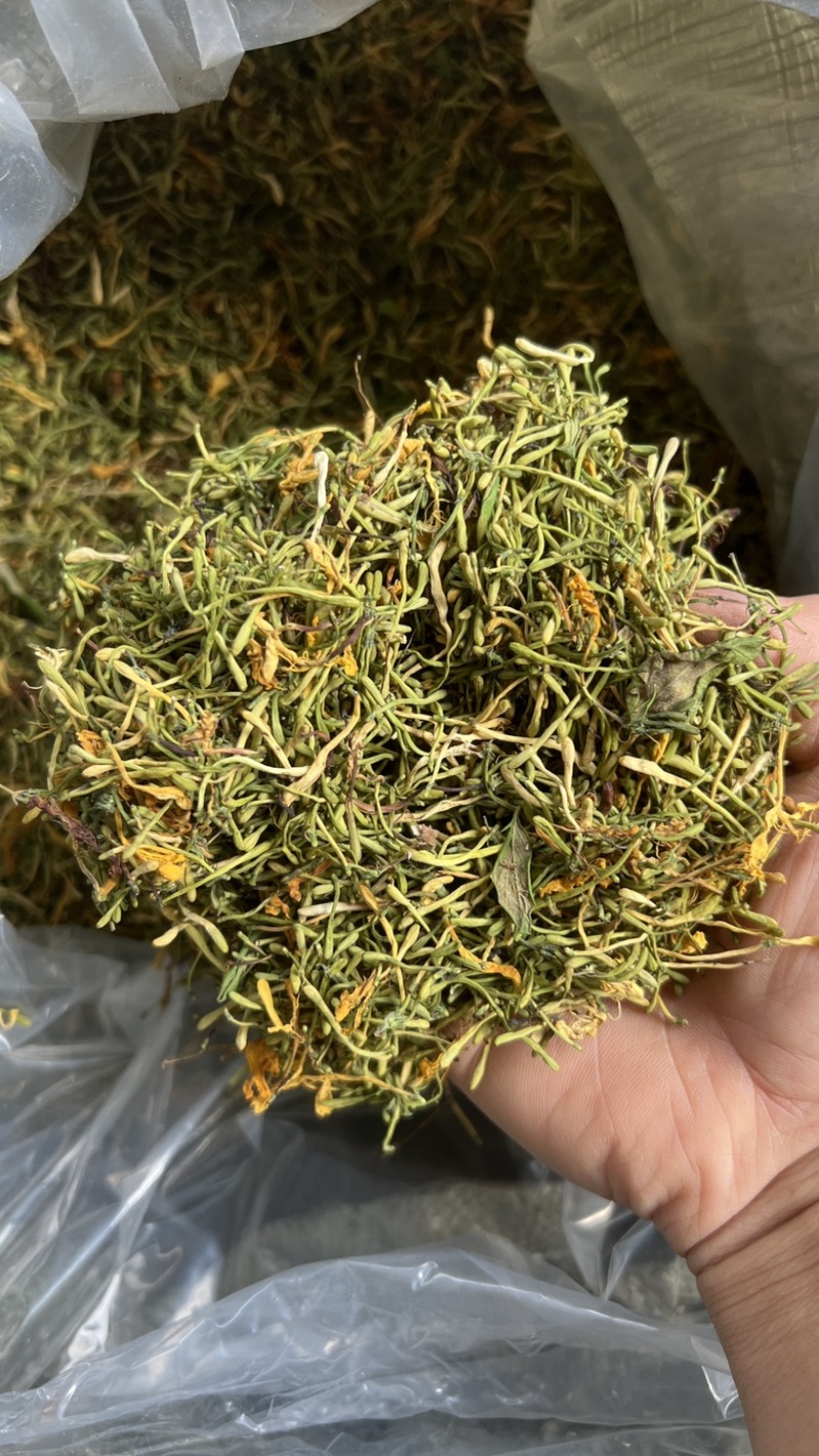 野生金银花，无琉金银花新鲜干货，5斤起批包邮