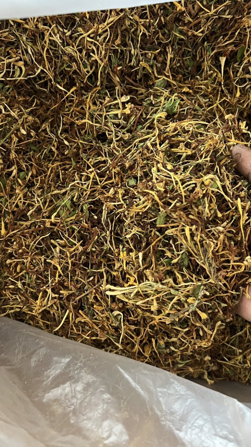 野生金银花，无琉金银花新鲜干货，5斤起批包邮