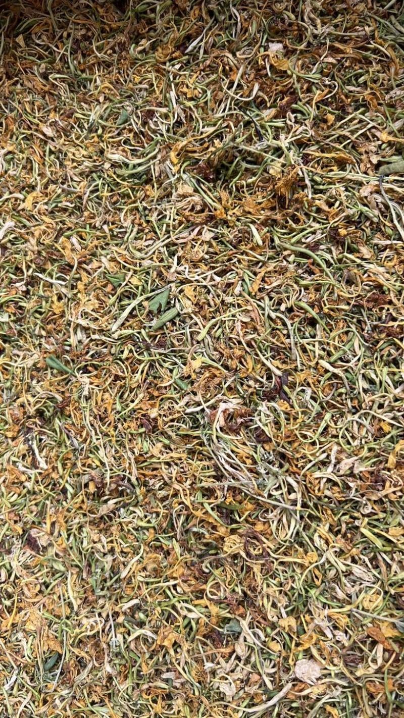 野生金银花，无琉金银花新鲜干货，5斤起批包邮
