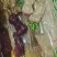 广西都安县东庙旱藕粉（红薯粉）（旱藕粉）