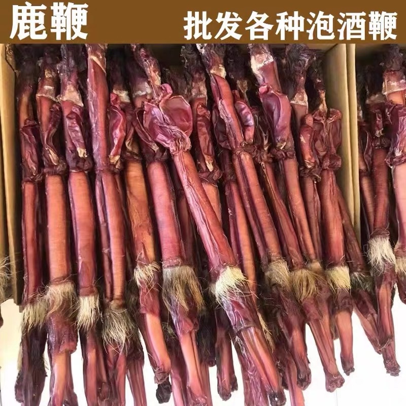鹿鞭整支干鹿鞭东北鹿鞭泡酒煲汤材料假一赔十