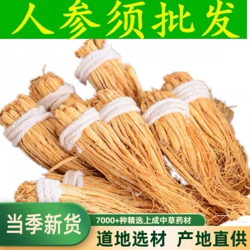 人参须白参须生晒参须无硫小人参须常年供应