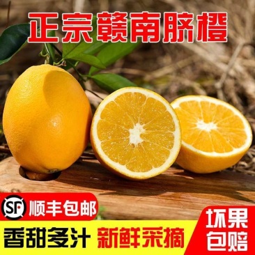 正宗江西赣南脐橙产地一手货源稳定供应市场批发一件代发