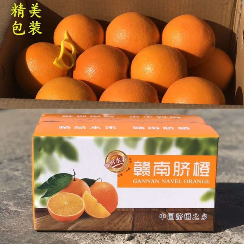 正宗江西赣南脐橙产地一手货源稳定供应市场批发一件代发