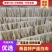 萧县特产蛋白肉自己加工新鲜上市量大从优欢迎电联