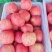 灵宝SOD红富士苹果🍎