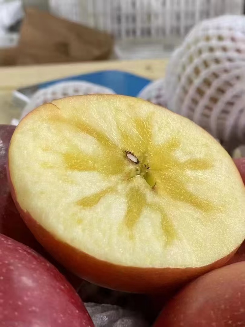 高原糖心红富士