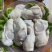 精品生蚝肉净重500g(**)，冷藏保存！