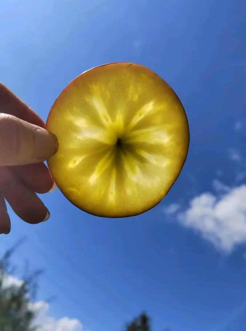 昭通丑苹果/冰糖心丑苹果/产地直发对接全国采购商