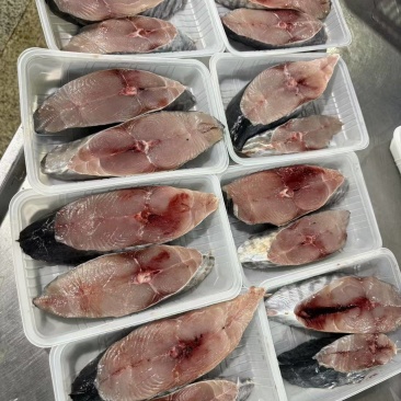 本港大马鲛鱼纯肉，2块400g