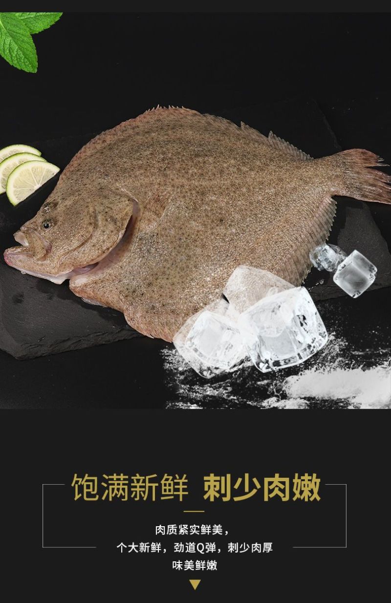 4-6两多宝鱼