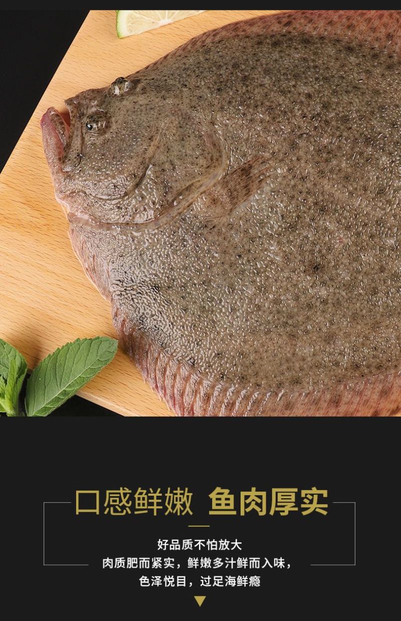 4-6两多宝鱼