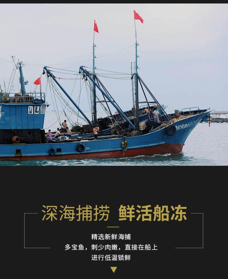 4-6两多宝鱼
