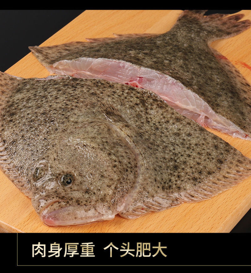 4-6两多宝鱼
