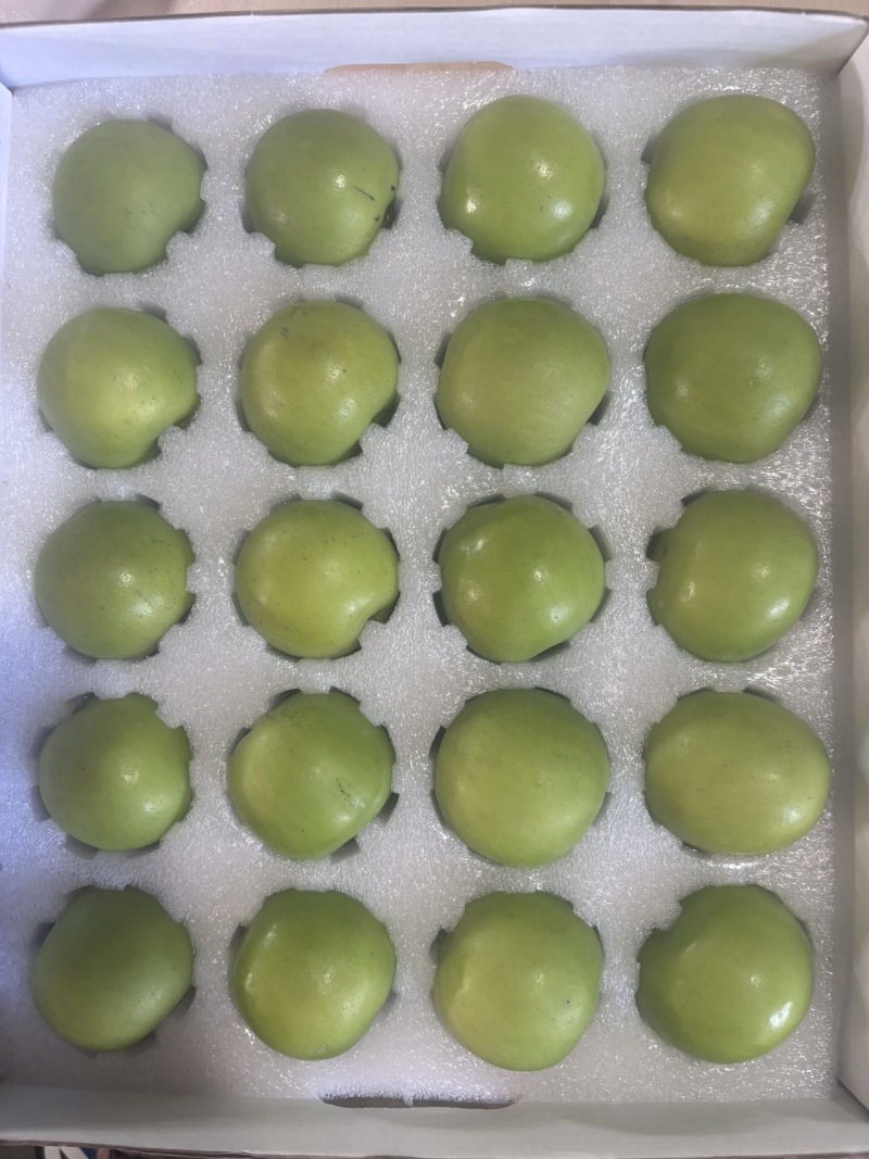 云南苹果枣，牛奶枣，正在上市中