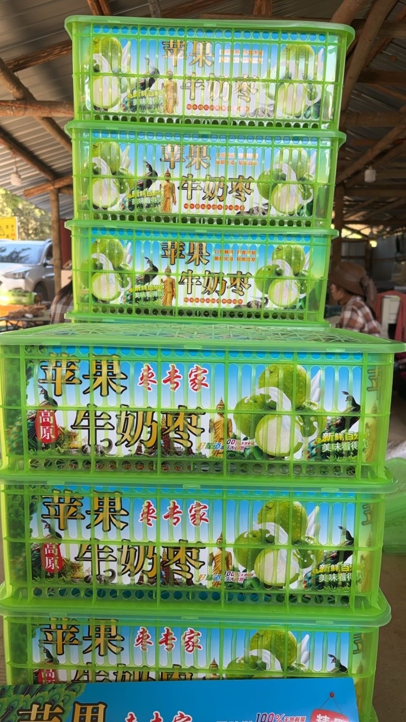 云南苹果枣，牛奶枣，正在上市中