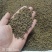 中药材吴茱萸新货江西中花无杂质可大货供应