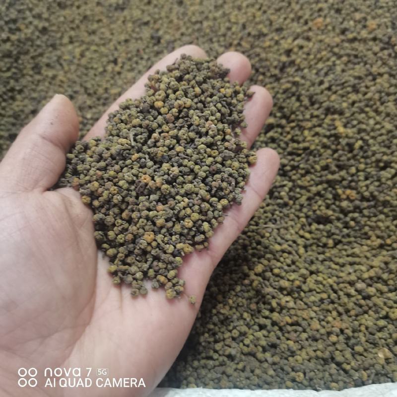 中药材吴茱萸新货江西中花无杂质可大货供应
