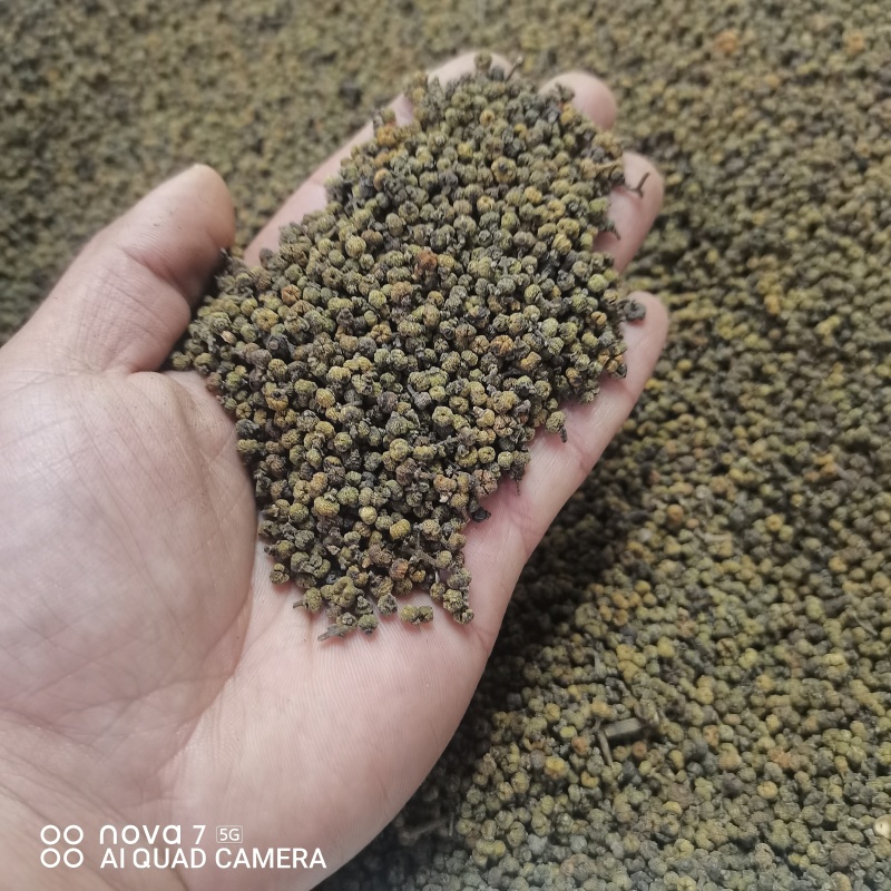 中药材吴茱萸新货江西中花无杂质可大货供应