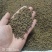 中药材吴茱萸新货江西中花无杂质可大货供应