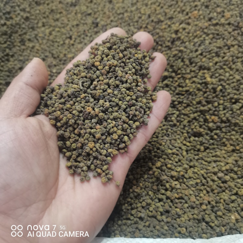 中药材吴茱萸新货江西中花无杂质可大货供应