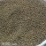 中药材吴茱萸新货江西中花无杂质可大货供应
