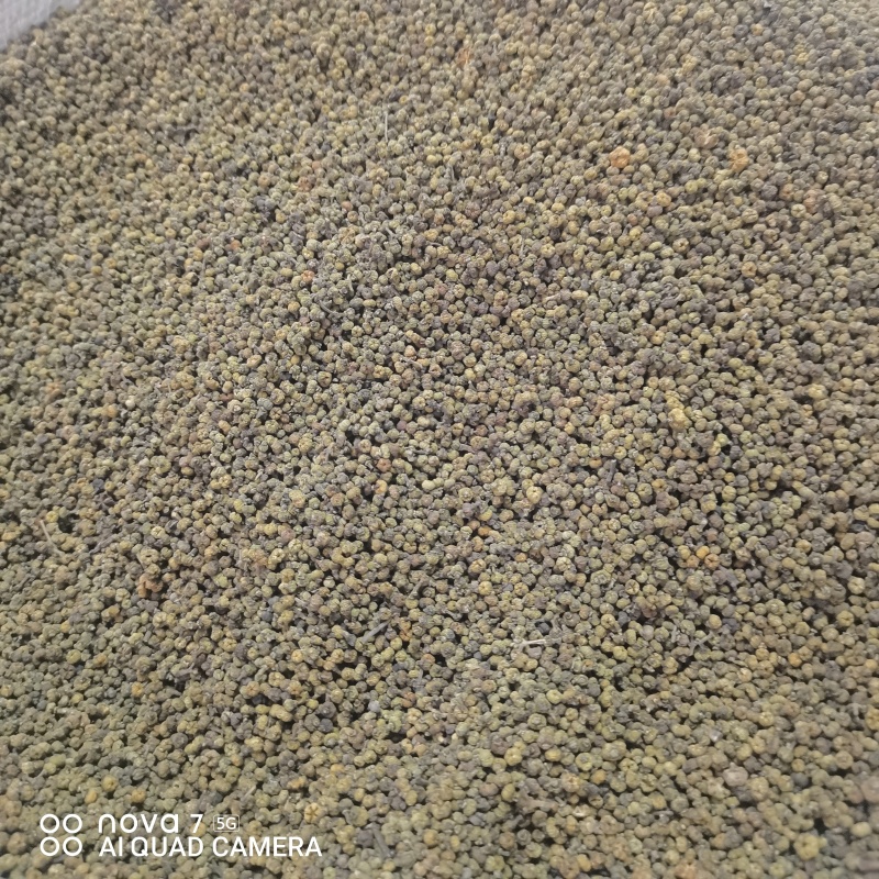 中药材吴茱萸新货江西中花无杂质可大货供应