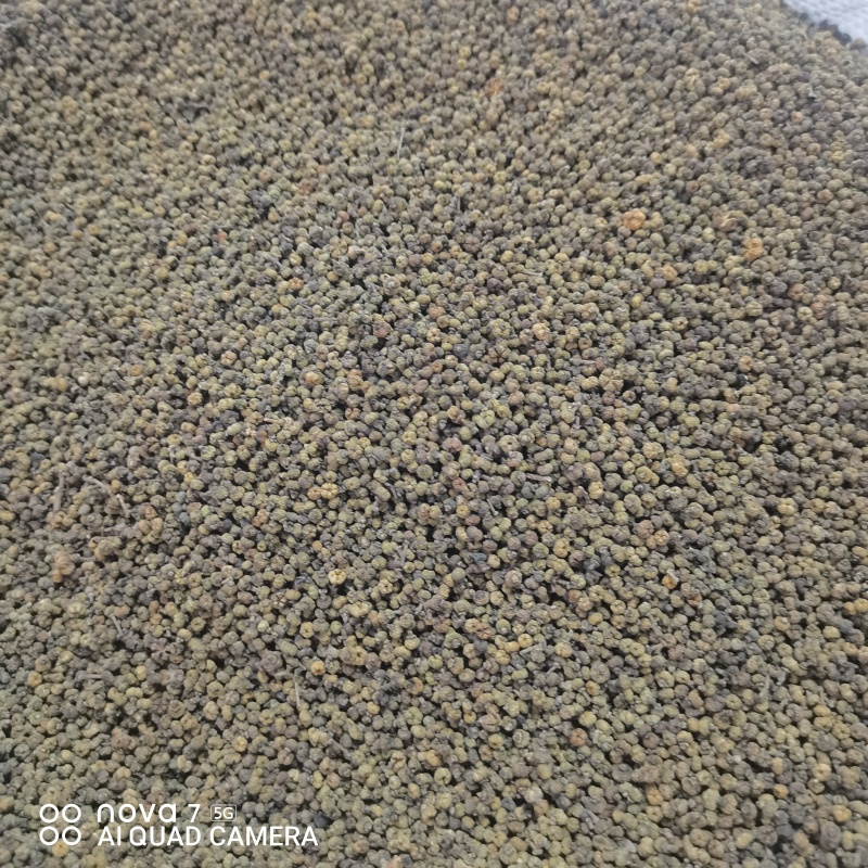 中药材吴茱萸新货江西中花无杂质可大货供应