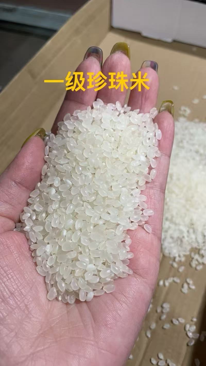 精品一级大米，珍珠米一手货源充足供应，诚信经营，量大从优