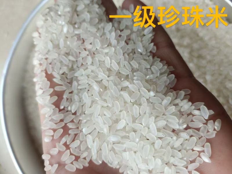 精品一级大米，珍珠米一手货源充足供应，诚信经营，量大从优